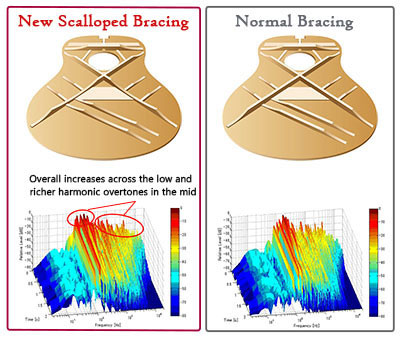 Yamaha FG Series - JAM.UA