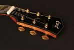CORT GOLD-D6 (NATURAL) - Зображення 4