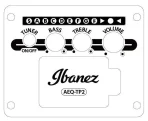 IBANEZ AAD50CE-LG — изображение 5