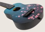 Flight TUS32 Sakura — изображение 2