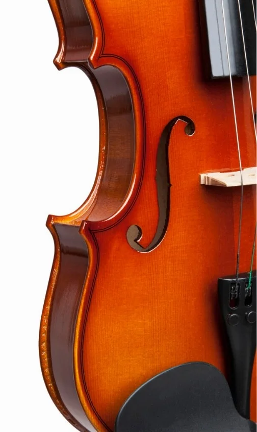 STAGG VN-4/4 L — изображение 3