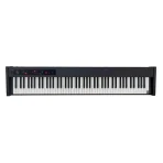 KORG D1