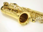 J.MICHAEL AL-500 Alto Saxophone — изображение 2