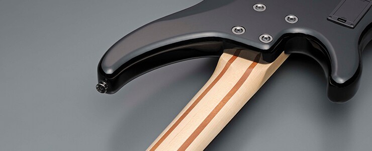 Болтовое крепление грифа в бас-гитарах TRBX