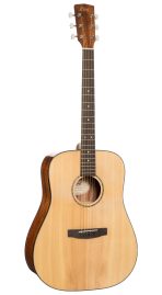 CORT EARTH 60 (Natural Gloss)