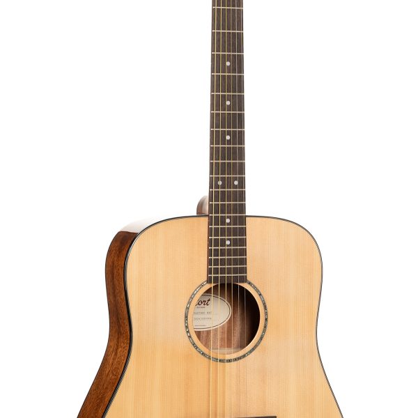 CORT EARTH 60 (Natural Gloss)