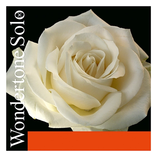 Pirastro Wondertone Solo 4/4 для скрипки, синтетика (струна Ля)