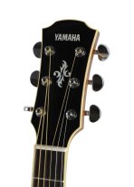 YAMAHA APX700 II (Sand Burst) — изображение 4