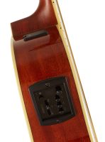 YAMAHA FSX820C (Natural) — изображение 3