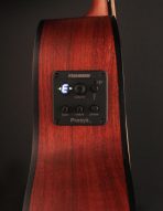 CORT Little CJ Blackwood (Open Pore Light Burst) - Зображення 7