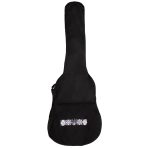 FZONE FGB-41С Classic Guitar Bag