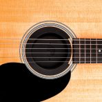 D'Addario PW-SH-01 Screeching Halt Soundhole Plug