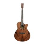TANGLEWOOD TWX6 CE PW